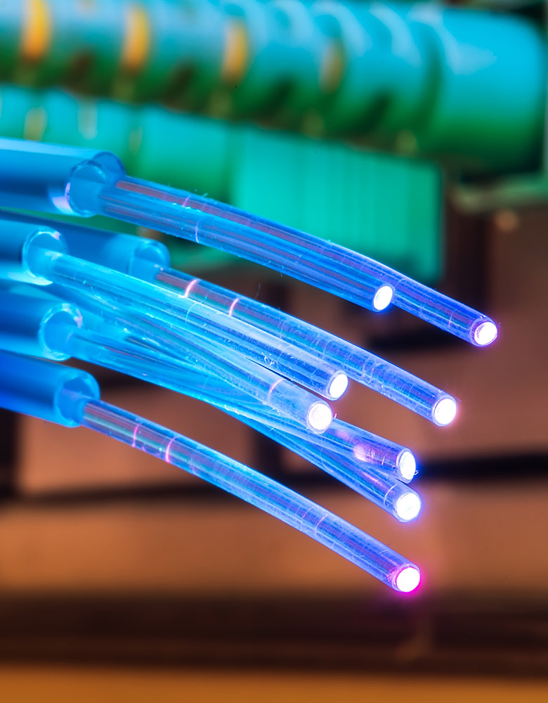Home Network Services - Wireless & Wired Network Infrastructure