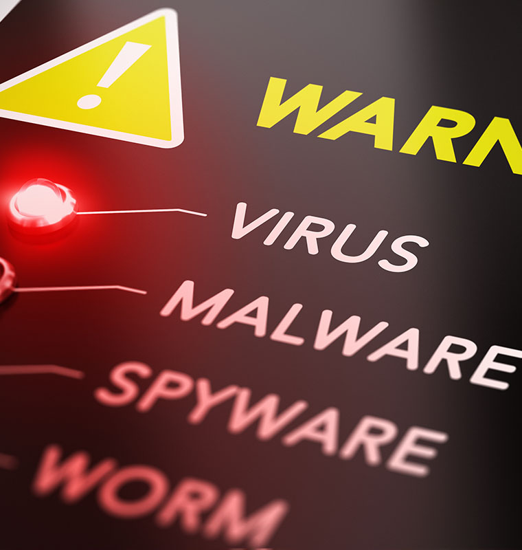 Computer Software Services - Anti-Virus